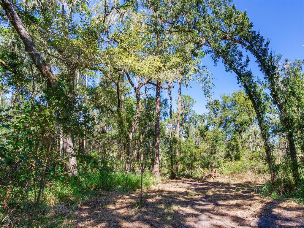 Drawdy Road Plant City, FL 33567 - Photo 24 of 30