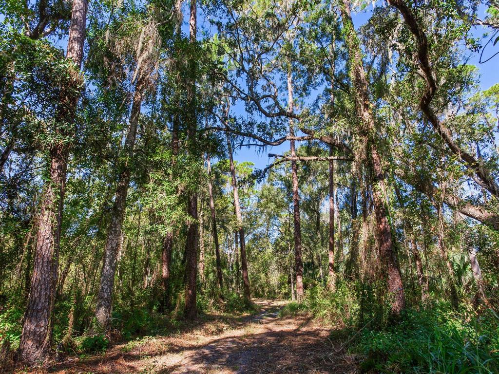 Drawdy Road Plant City, FL 33567 - Photo 25 of 30