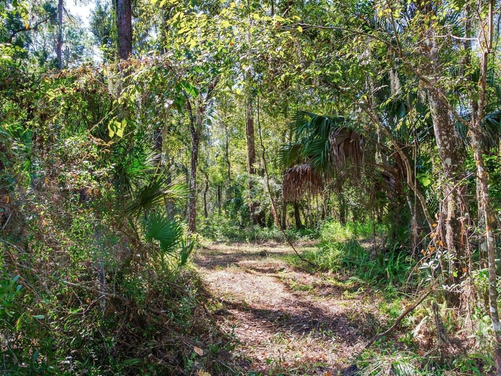 Drawdy Road Plant City, FL 33567 - Photo 26 of 30