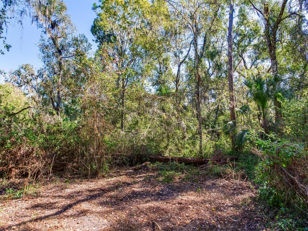 Drawdy Road Plant City, FL 33567 - Photo 27 of 30