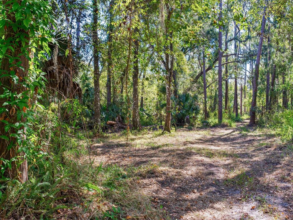 Drawdy Road Plant City, FL 33567 - Photo 28 of 30