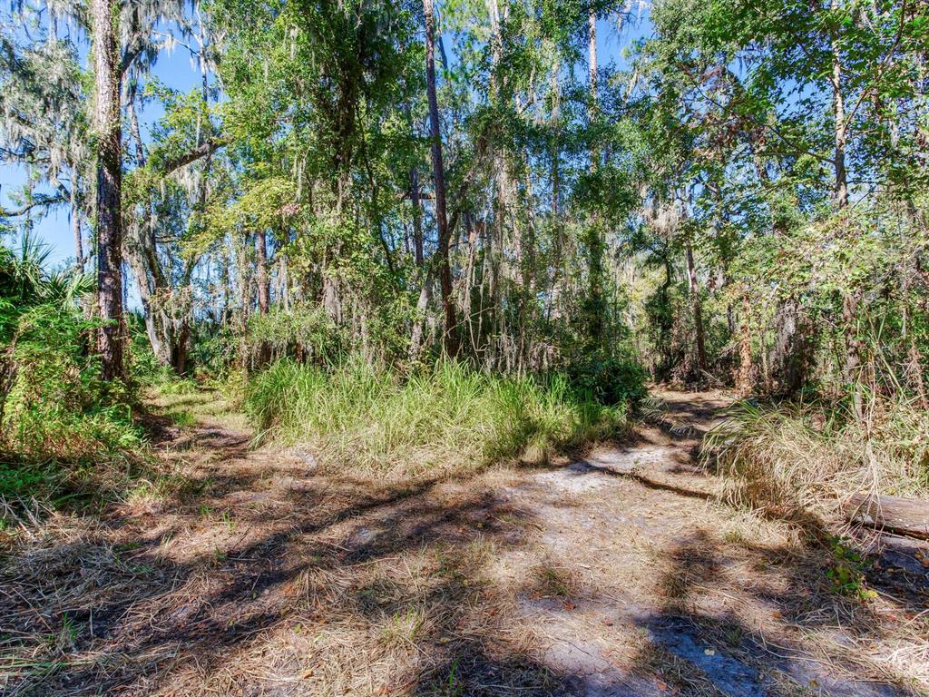 Drawdy Road Plant City, FL 33567 - Photo 29 of 30