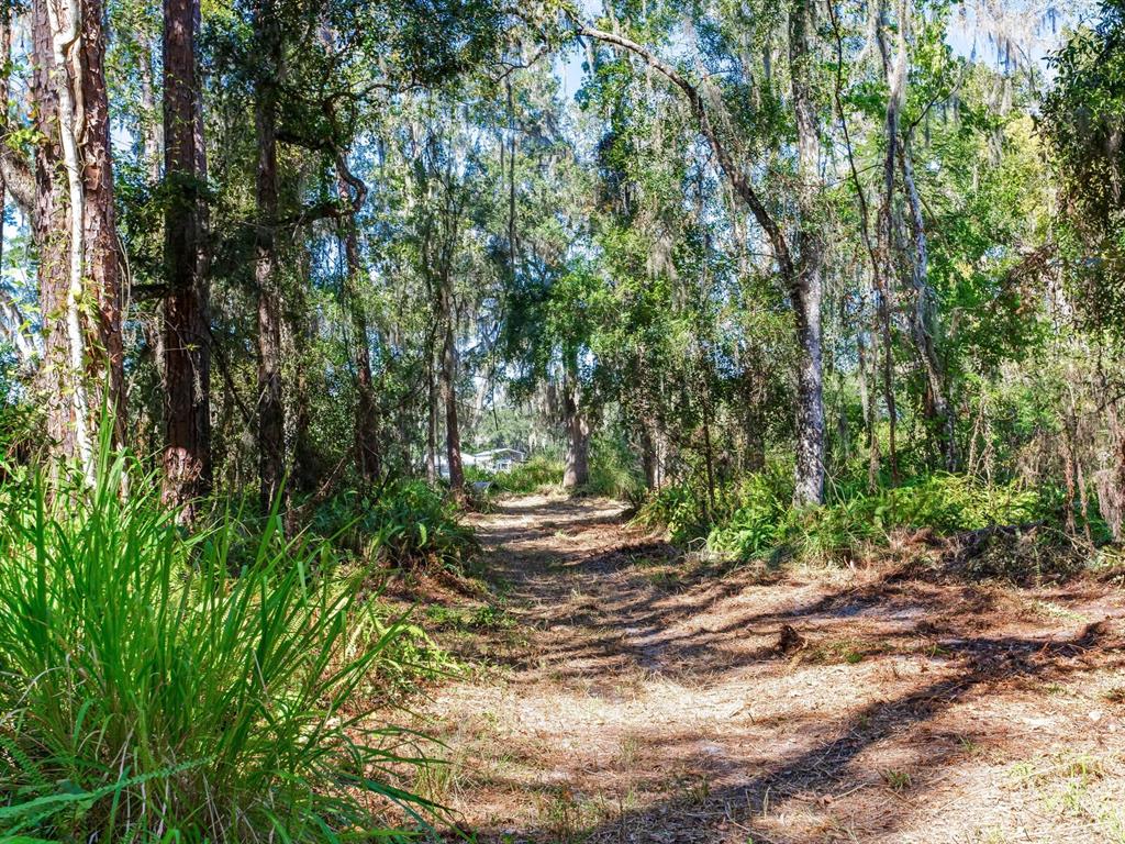 Drawdy Road Plant City, FL 33567 - Photo 30 of 30