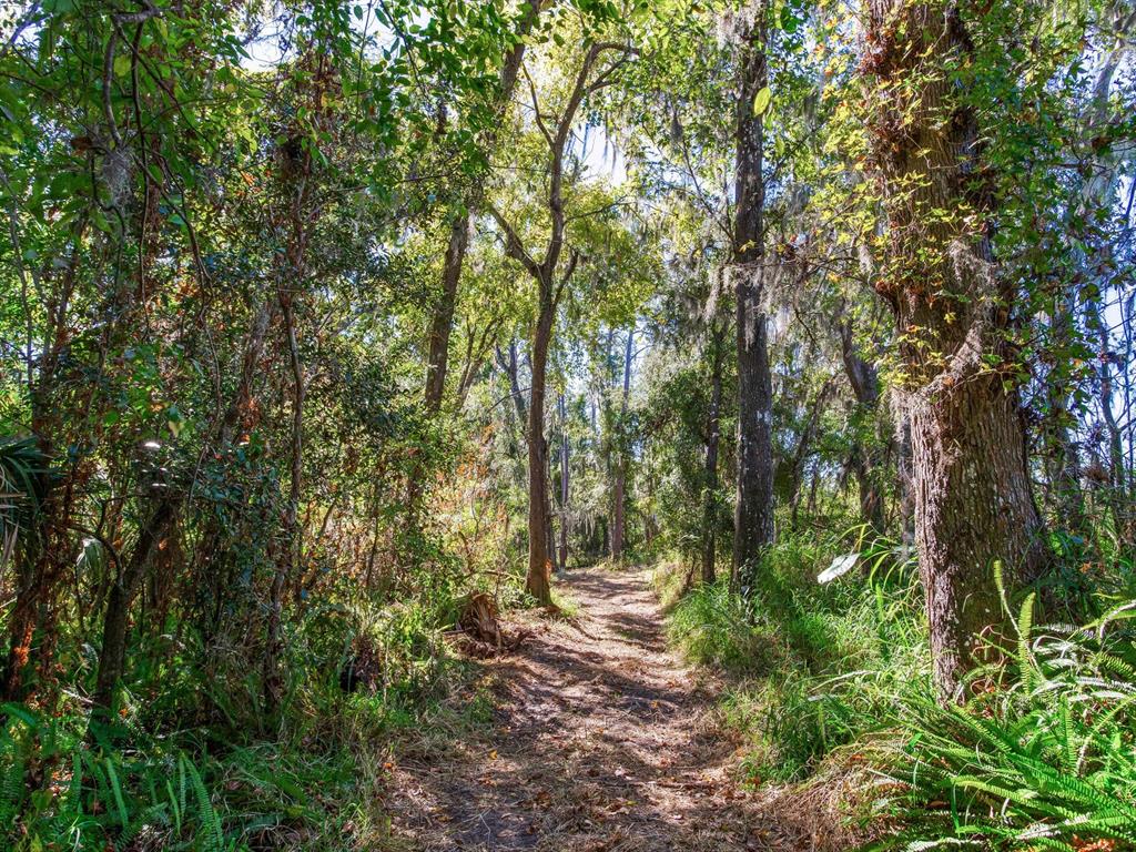 Drawdy Road Plant City, FL 33567 - Photo 4 of 30