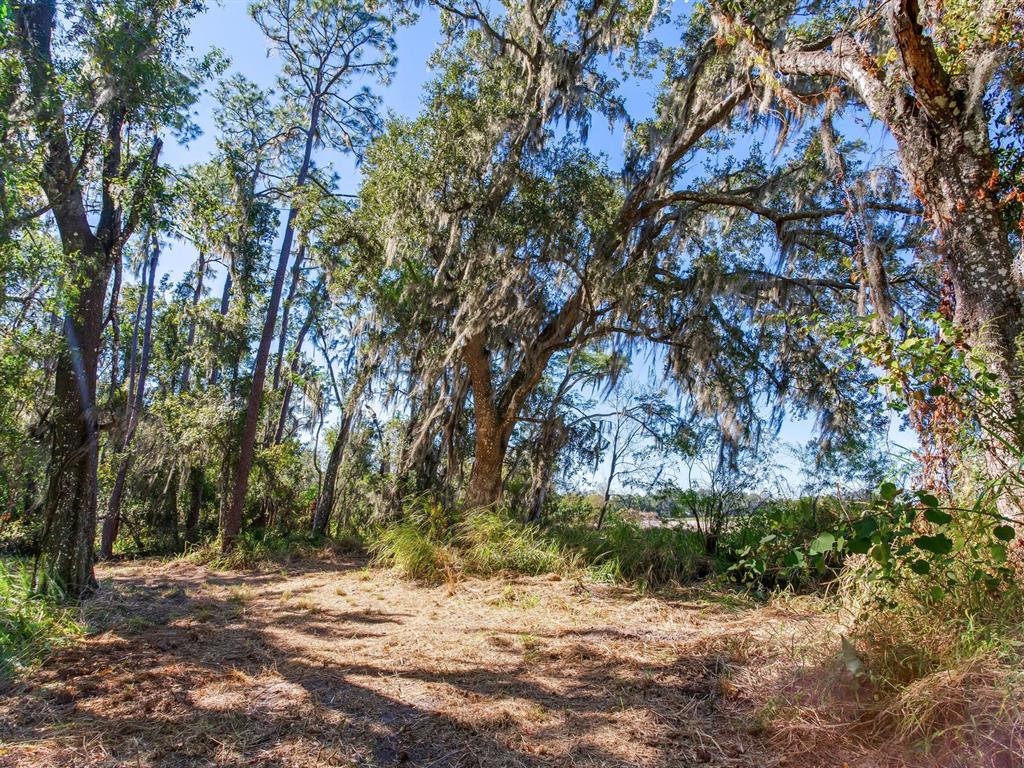 Drawdy Road Plant City, FL 33567 - Photo 5 of 30