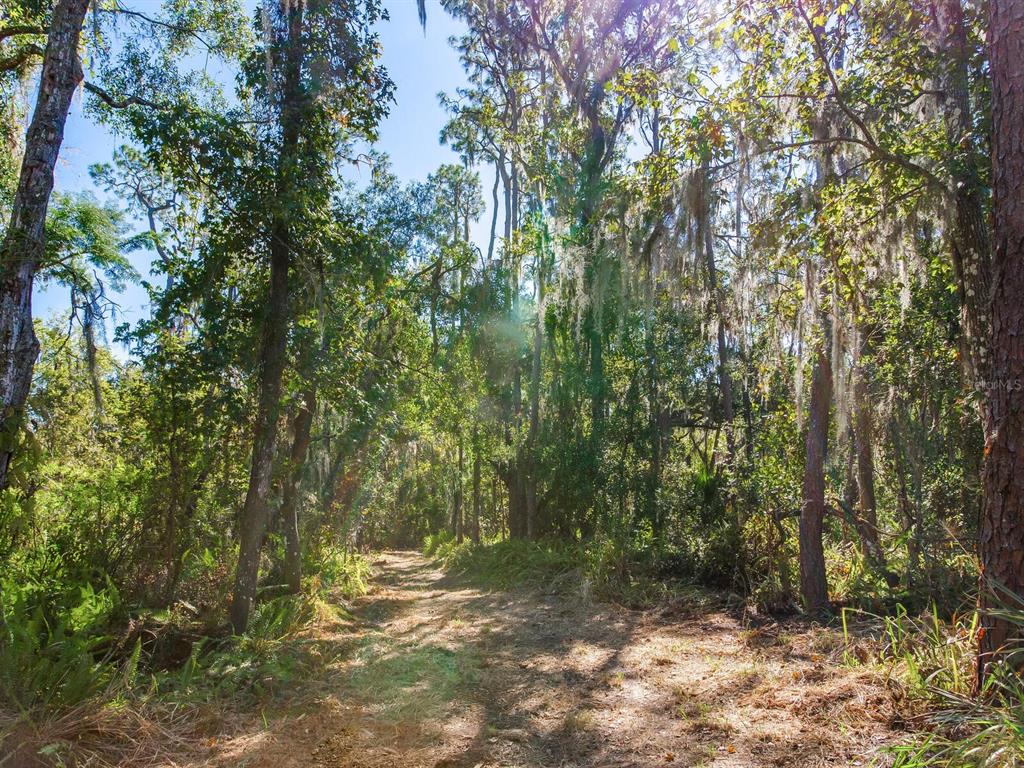 Drawdy Road Plant City, FL 33567 - Photo 6 of 30