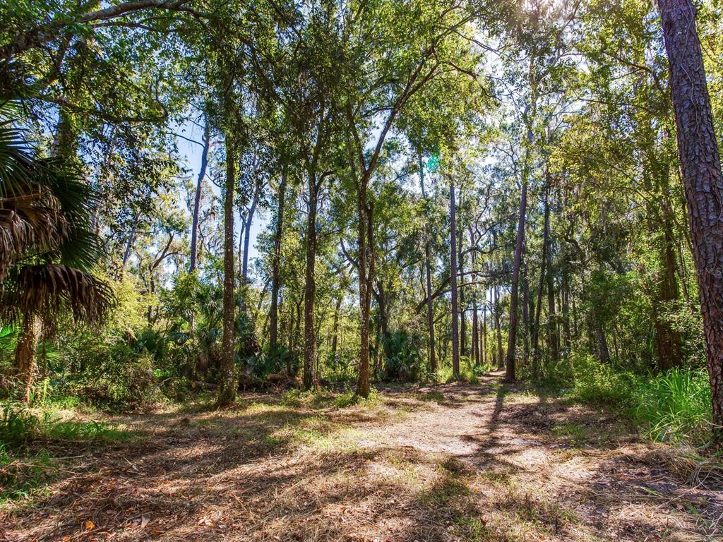 Drawdy Road Plant City, FL 33567 - Photo 7 of 30