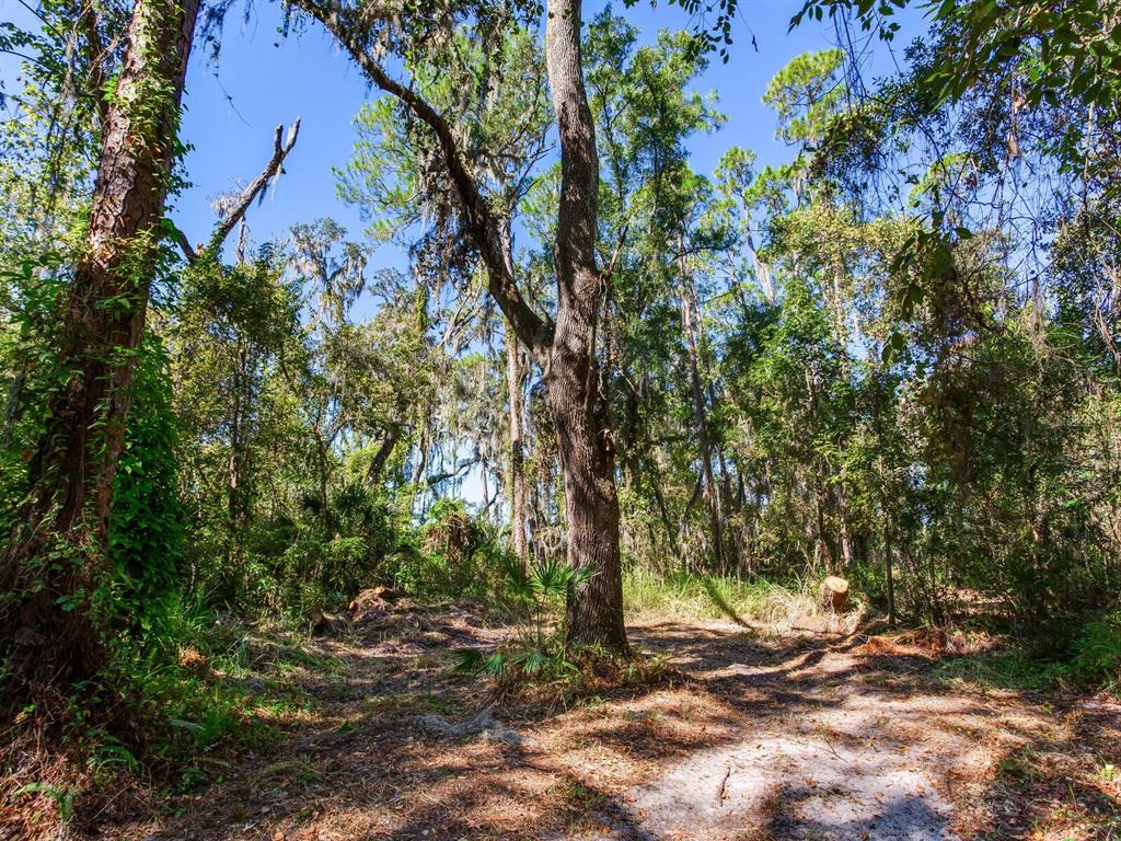 Drawdy Road Plant City, FL 33567 - Photo 8 of 30