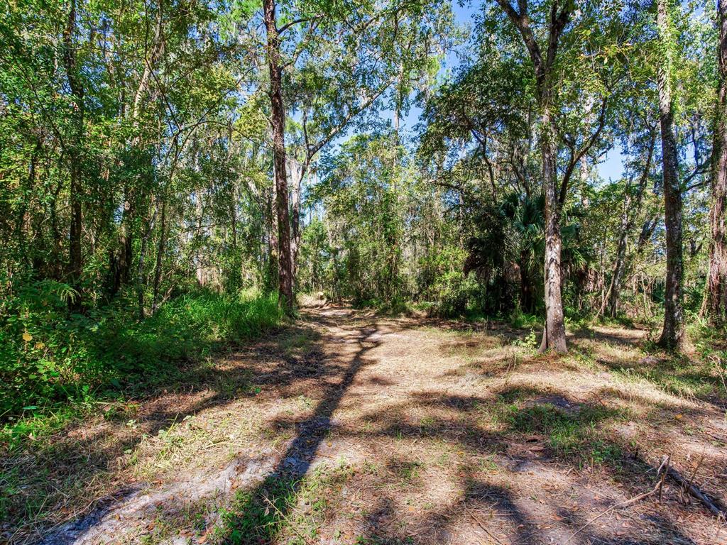 Drawdy Road Plant City, FL 33567 - Photo 10 of 30