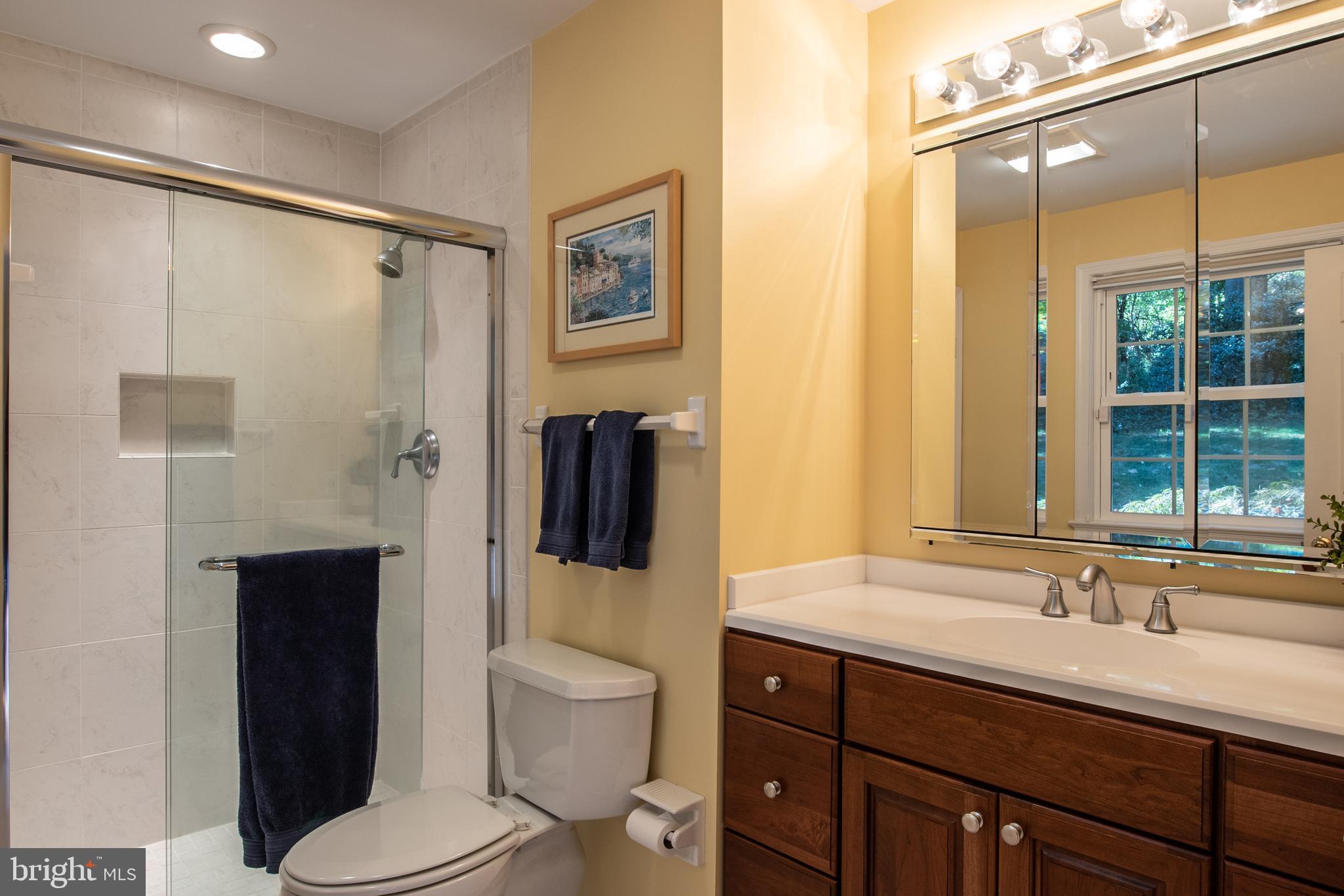 7119 Devonshire Road Alexandria, VA 22307 - Photo 20 of 37 Master Bath