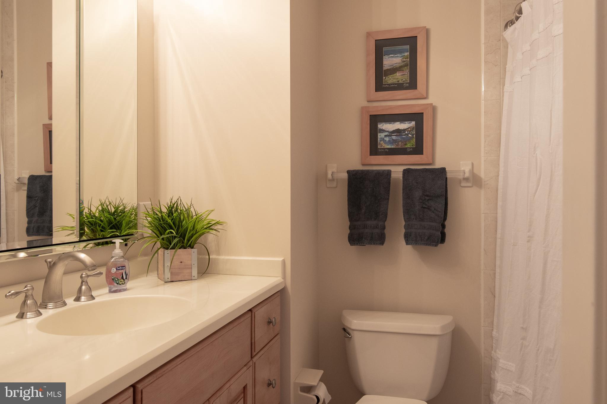 7119 Devonshire Road Alexandria, VA 22307 - Photo 25 of 37 Hallway full bath