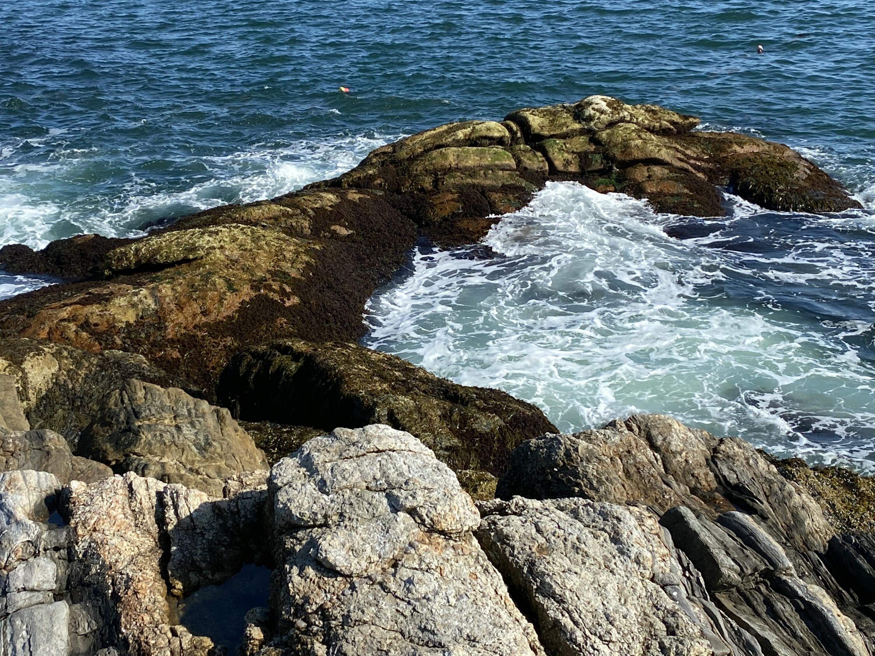 42 Old Mill Road New Harbor, ME 04554 - Photo 62 of 65 Nearby Shore