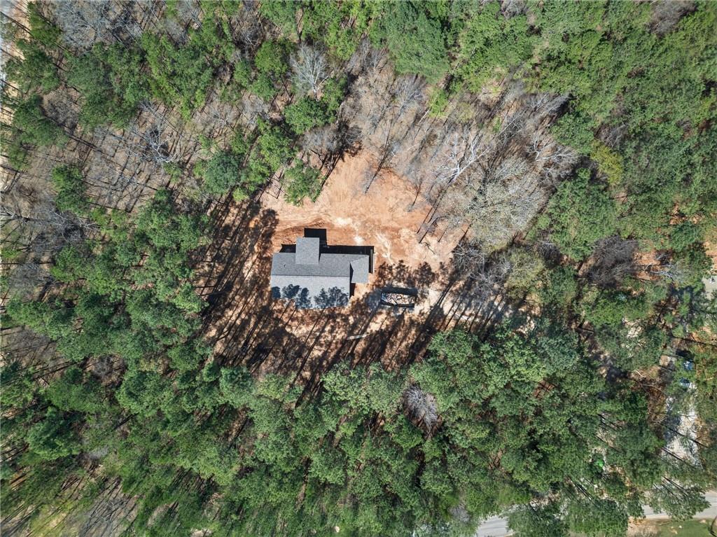 1071 Drummond Road Cedartown, GA 30125 - Photo 33 of 45