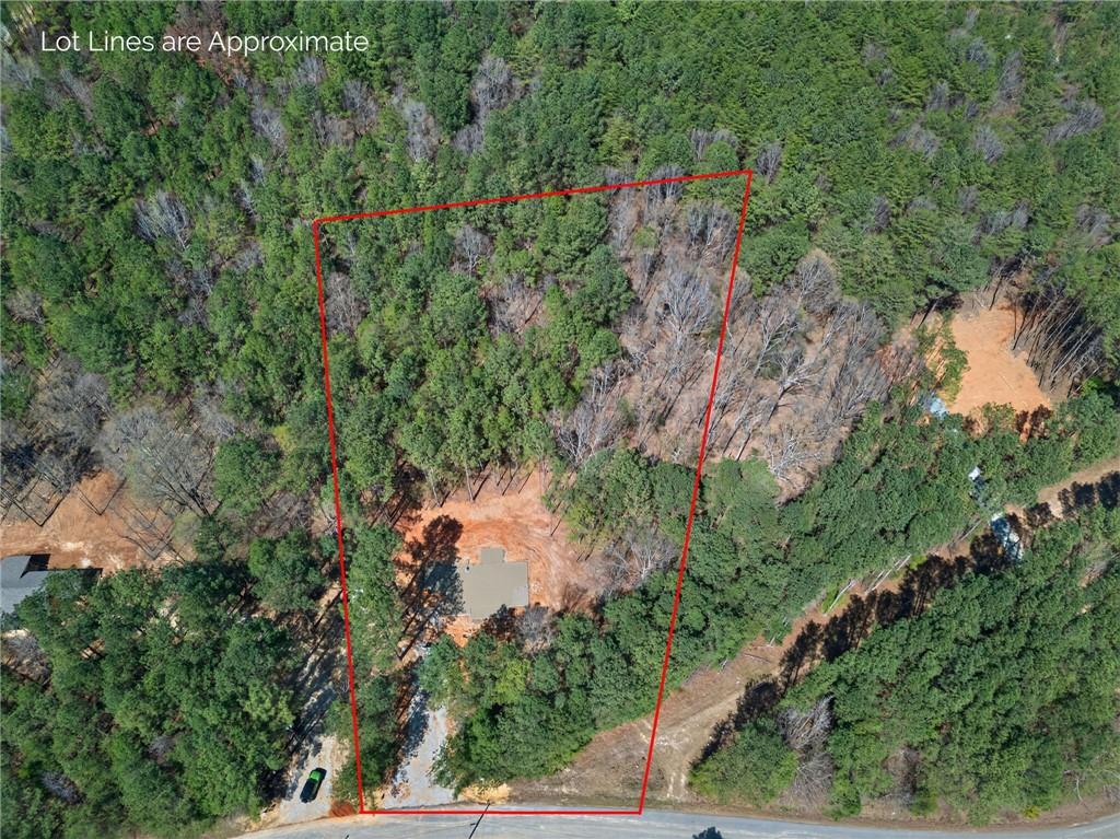 1071 Drummond Road Cedartown, GA 30125 - Photo 35 of 45