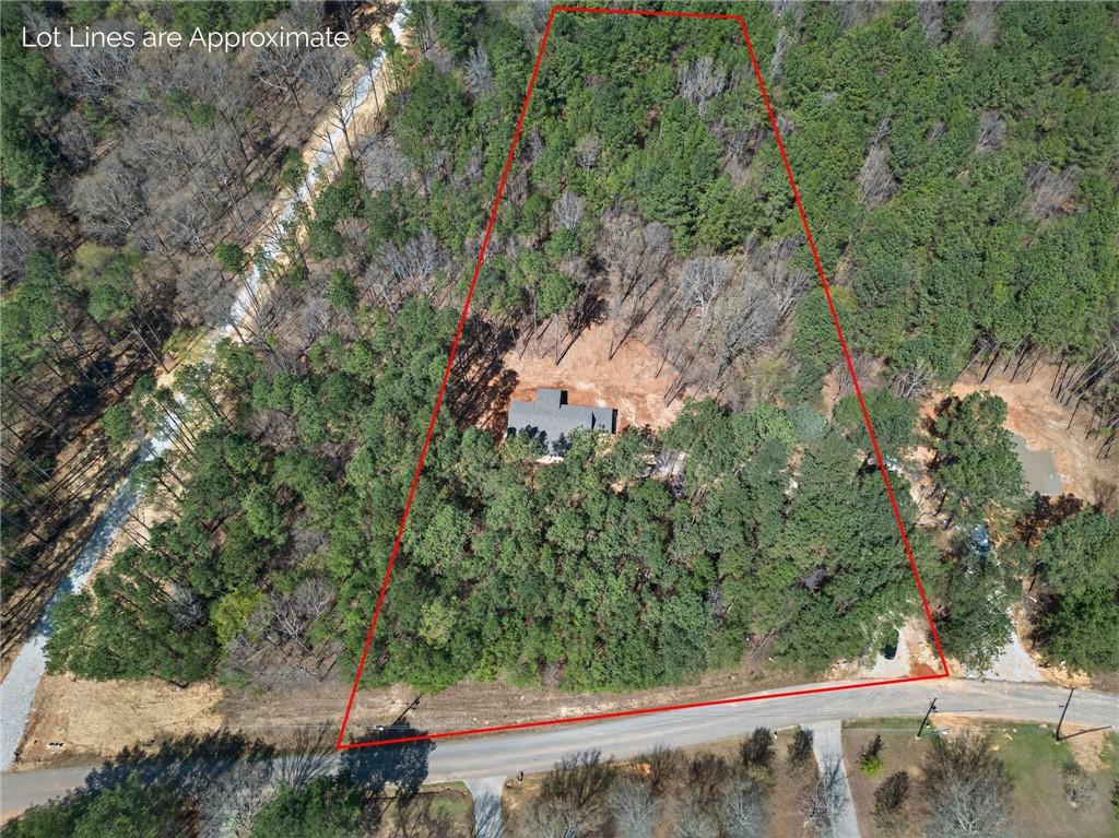 1071 Drummond Road Cedartown, GA 30125 - Photo 37 of 45