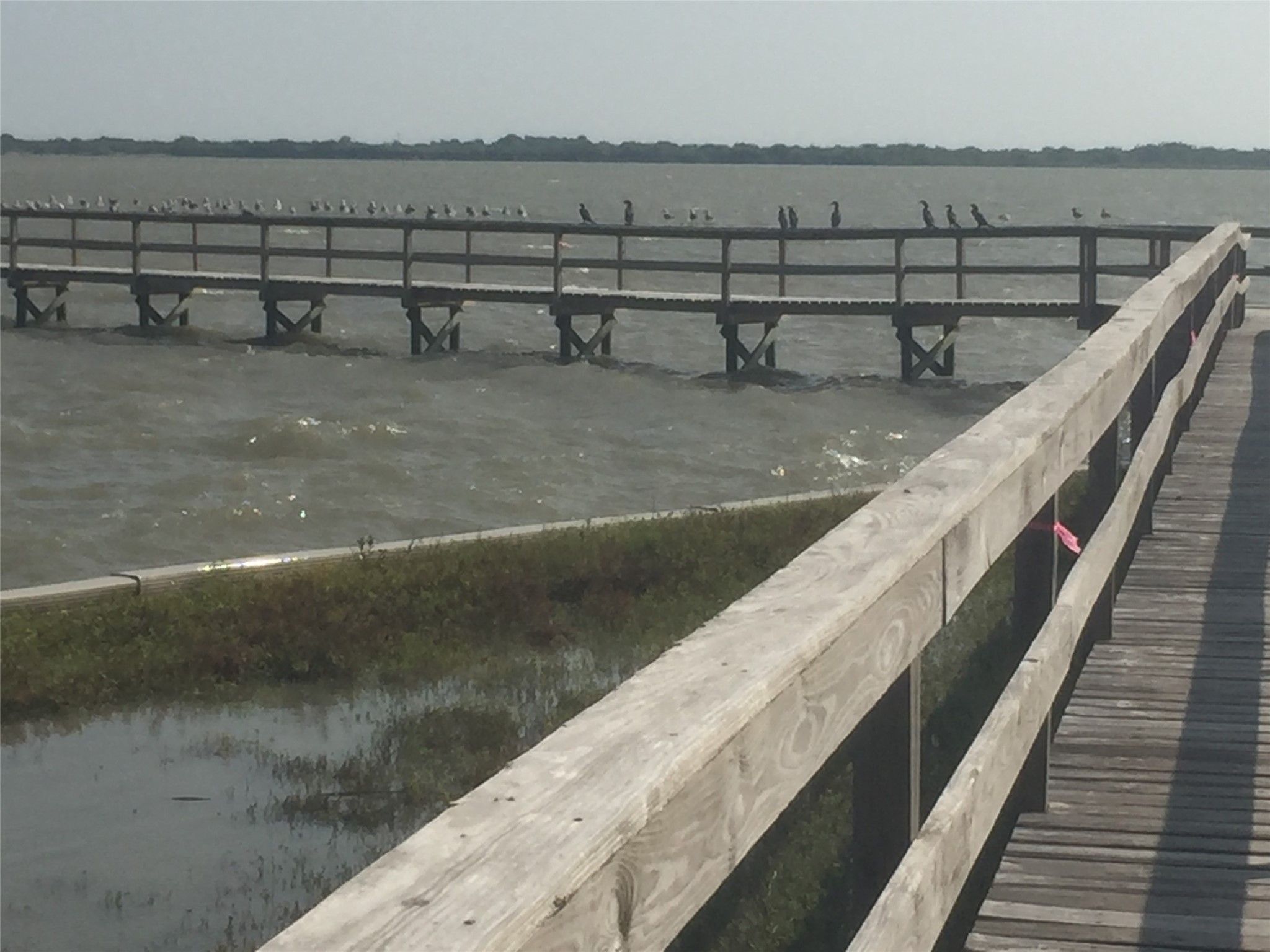 3 Redfish Lane Port Lavaca, TX 77979 - Photo 7 of 11 a view of a lake
