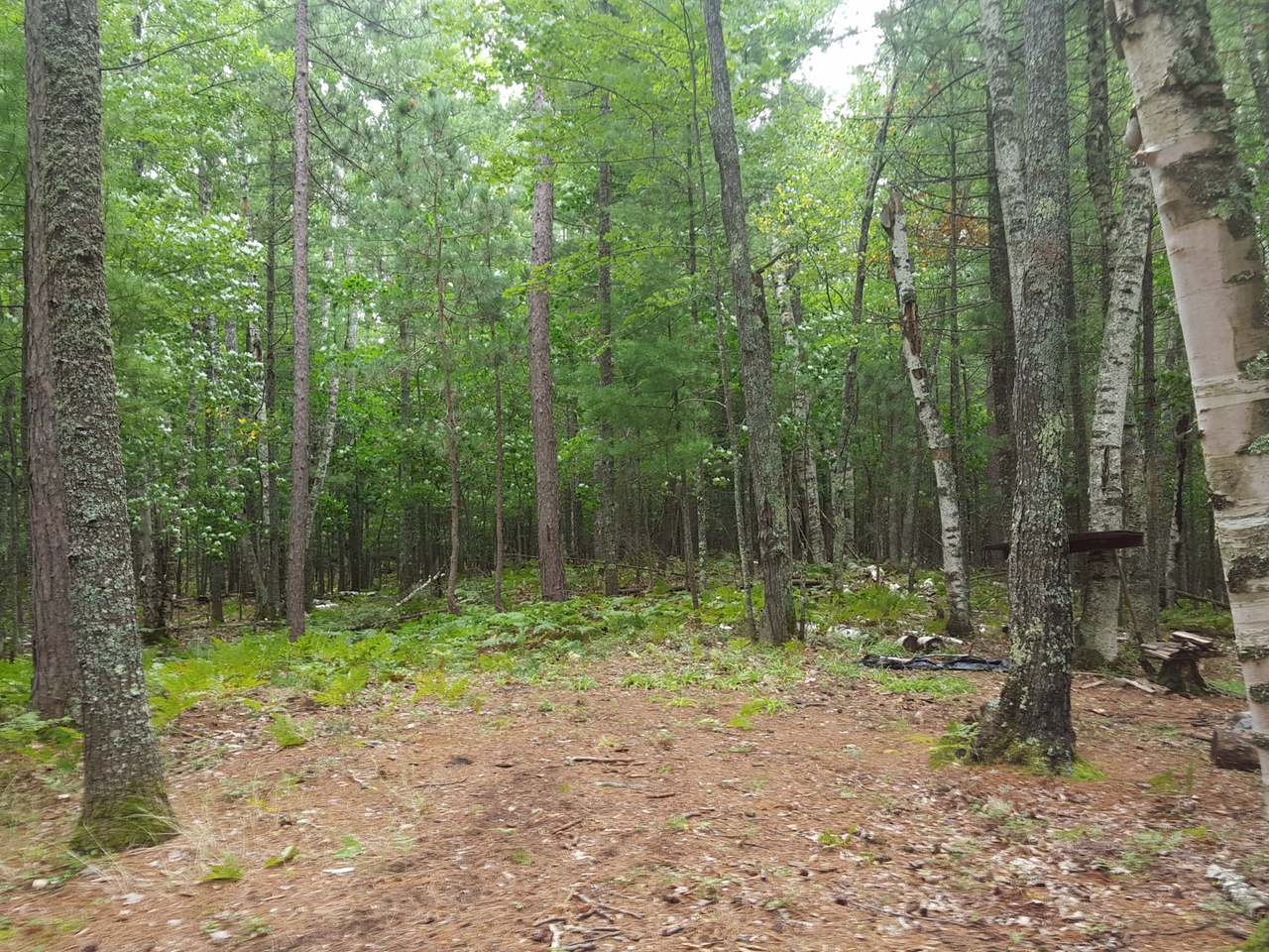 On Birch Road Land O'Lakes, WI 54540 - Photo 12 of 20 Gallery Image 12