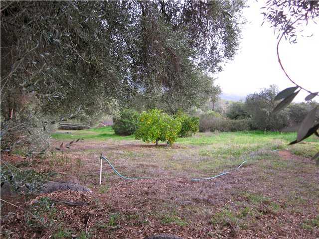29352 Miller Road Valley Center, CA 92082 - Photo 17 of 19