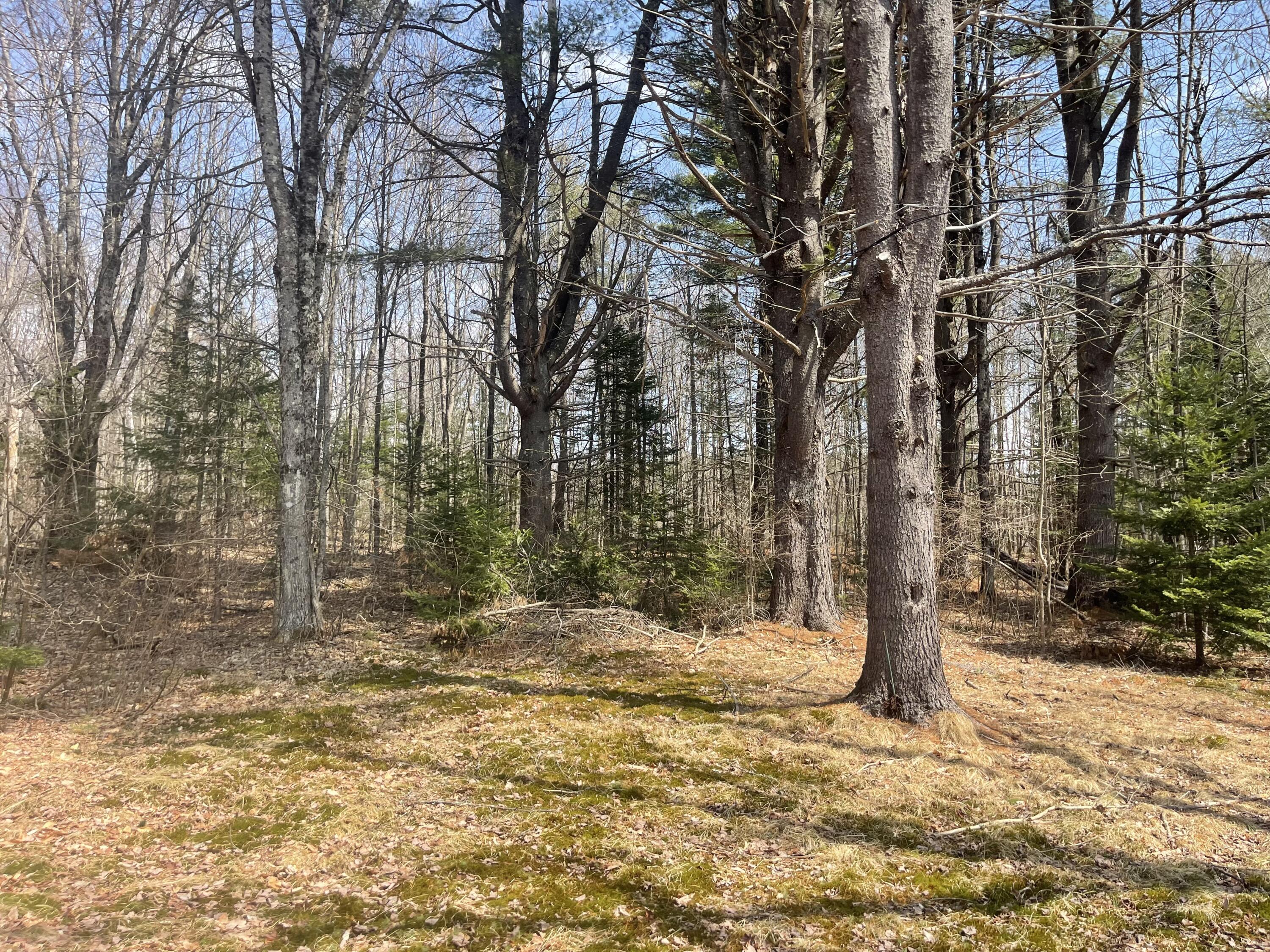 286 Pease Hill Road Anson, ME 04911 - Photo 6 of 37 3CA7C1EB-7DB4-4D22-B2A0-02A51E30163E