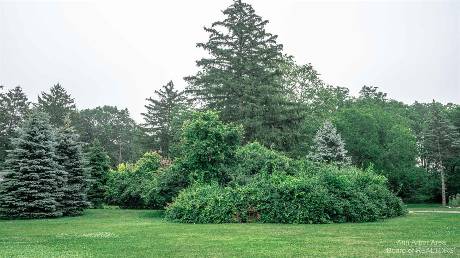 3000 Whitmore Lake Road Ann Arbor, MI 48105 - Photo 19 of 99 Photo 19