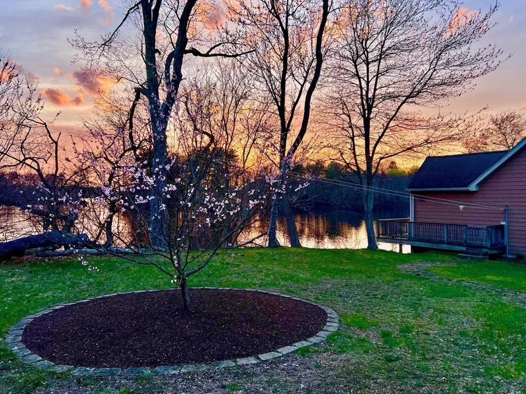 130 Scadding Street Taunton, MA 02780 - Photo 6 of 42 a view of a backyard with green space