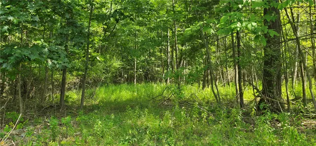 $389,000 | 11827 Lando Lane, Corning, NY 14830