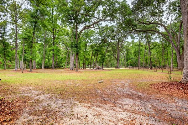 a view of backyard with tree
