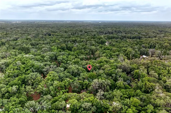 an aerial view of houses covered in trees