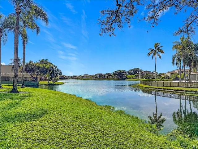 a view of a lake with a palm tree