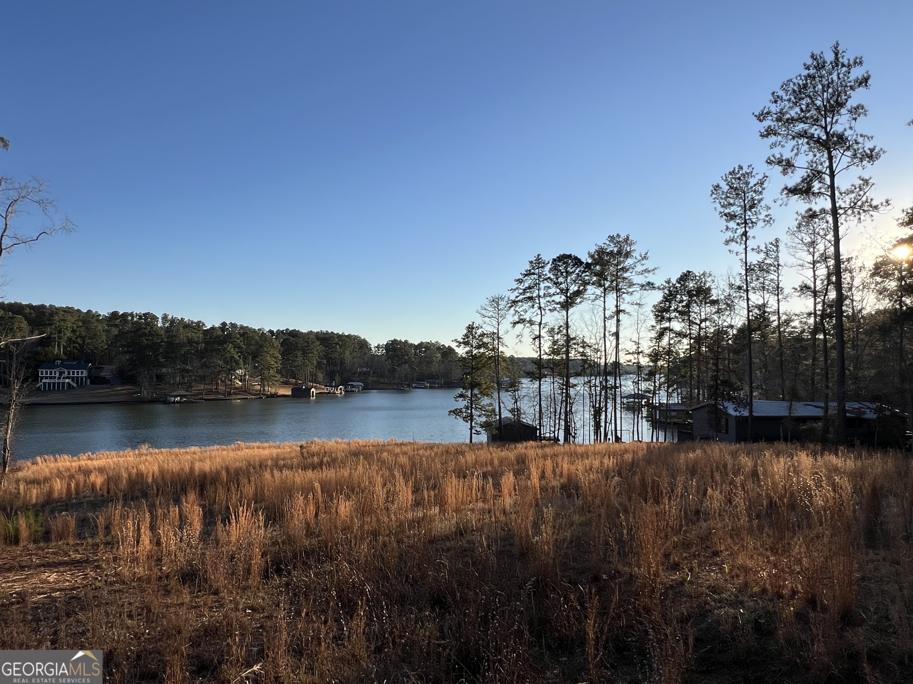 Lot 4 Sugar Bear Road Sparta, GA 31087 - Photo 3 of 7 Gallery Image 3