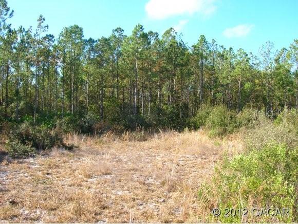 0 Southwest County Road, Unit 14 Cedar Key, FL 32625 - Photo 1 of 1 Gallery Image 1