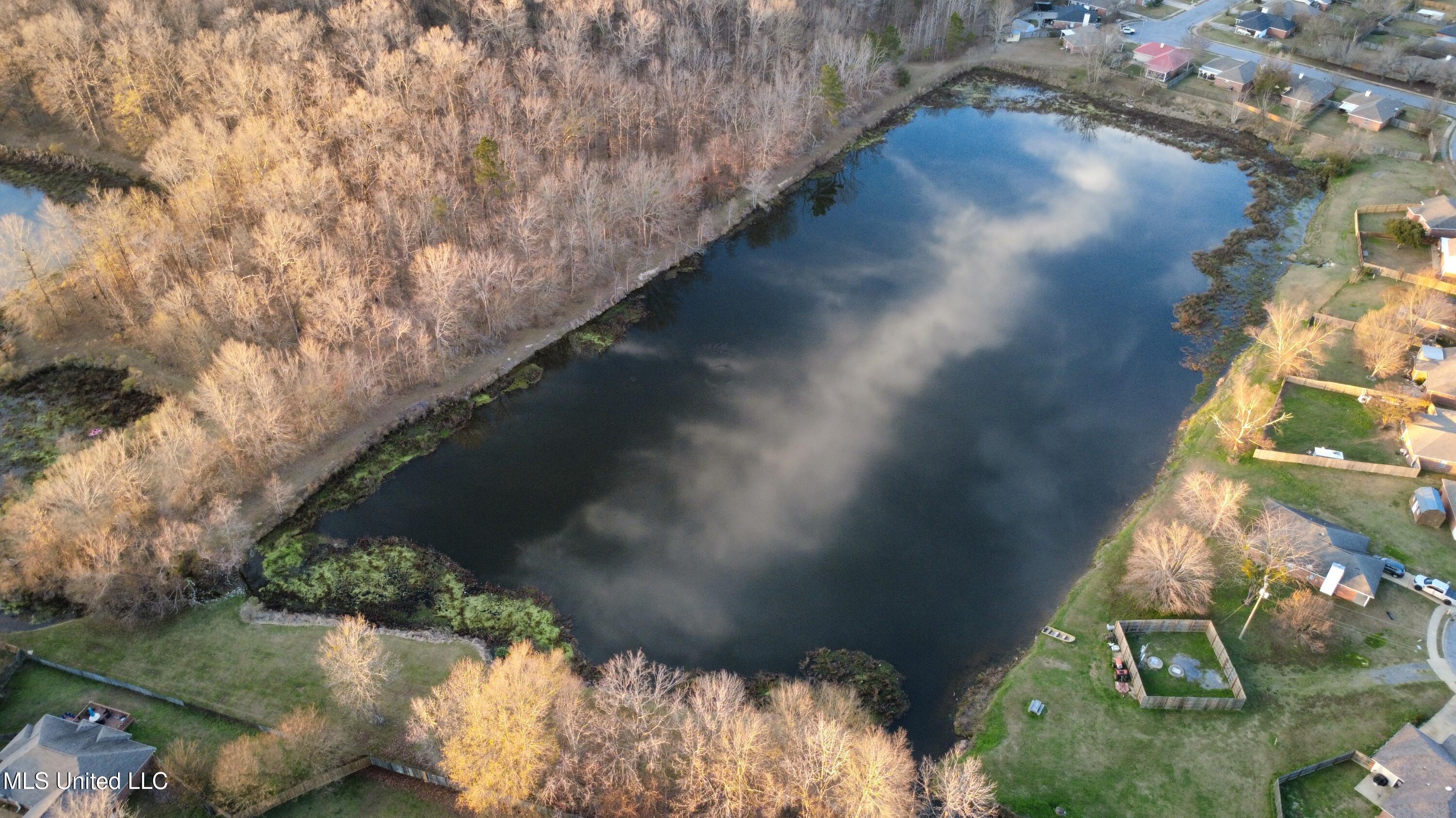 0 Evergreen Way Brandon, MS 39047 - Photo 3 of 6 dji_fly_20260112_165850_141_176825909078