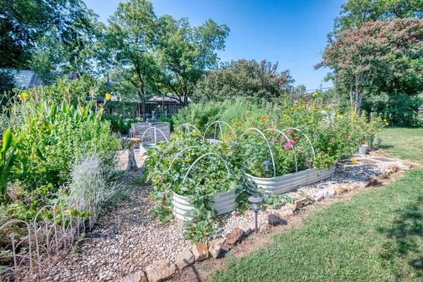 a view of a garden with large trees