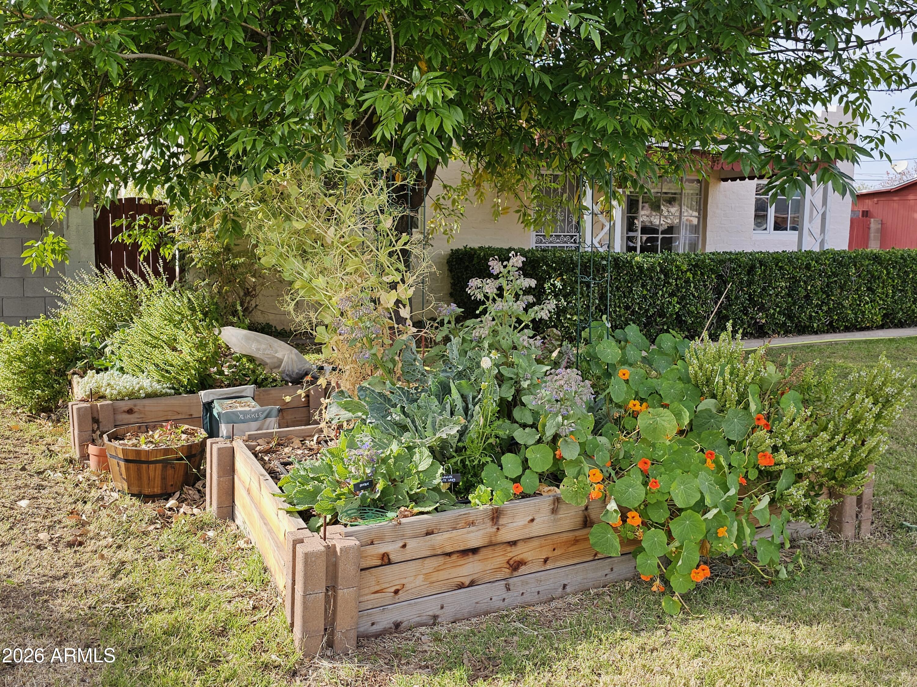 3108 North 21st Place Phoenix, AZ 85016 - Photo 3 of 56 front view of a house with a yard