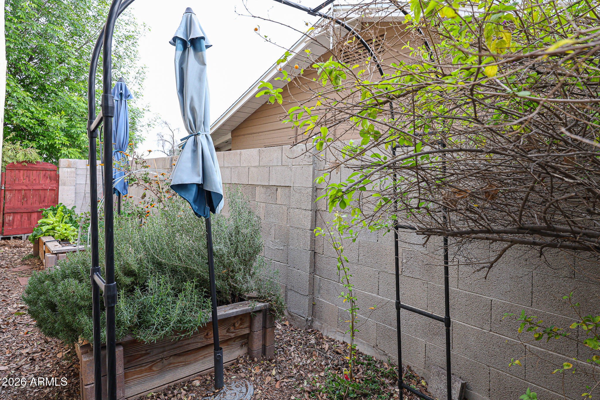 3108 North 21st Place Phoenix, AZ 85016 - Photo 45 of 56 a backyard of a house with lots of green space