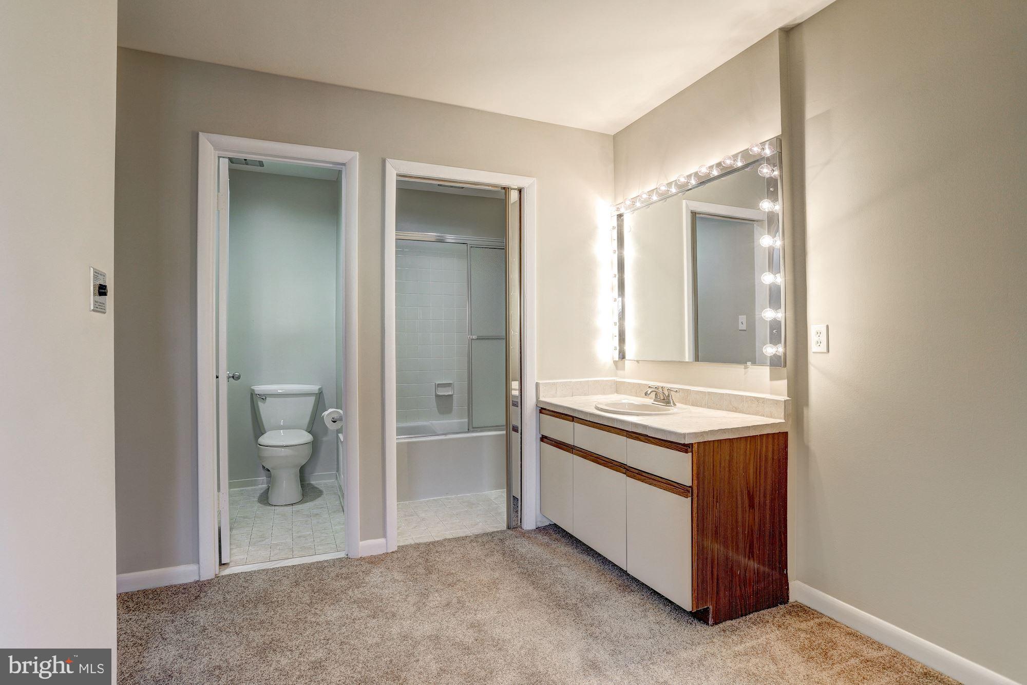 5590 Vantage Point Road, Unit 4 Columbia, MD 21044 - Photo 9 of 19 Master Bedroom with En Suite Bath