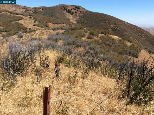 $275,000 | 0 Del Puerto Canyon Road, Patterson, CA 95363