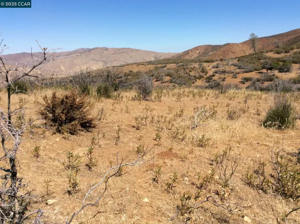 a view of a dry yard with mountains in the background