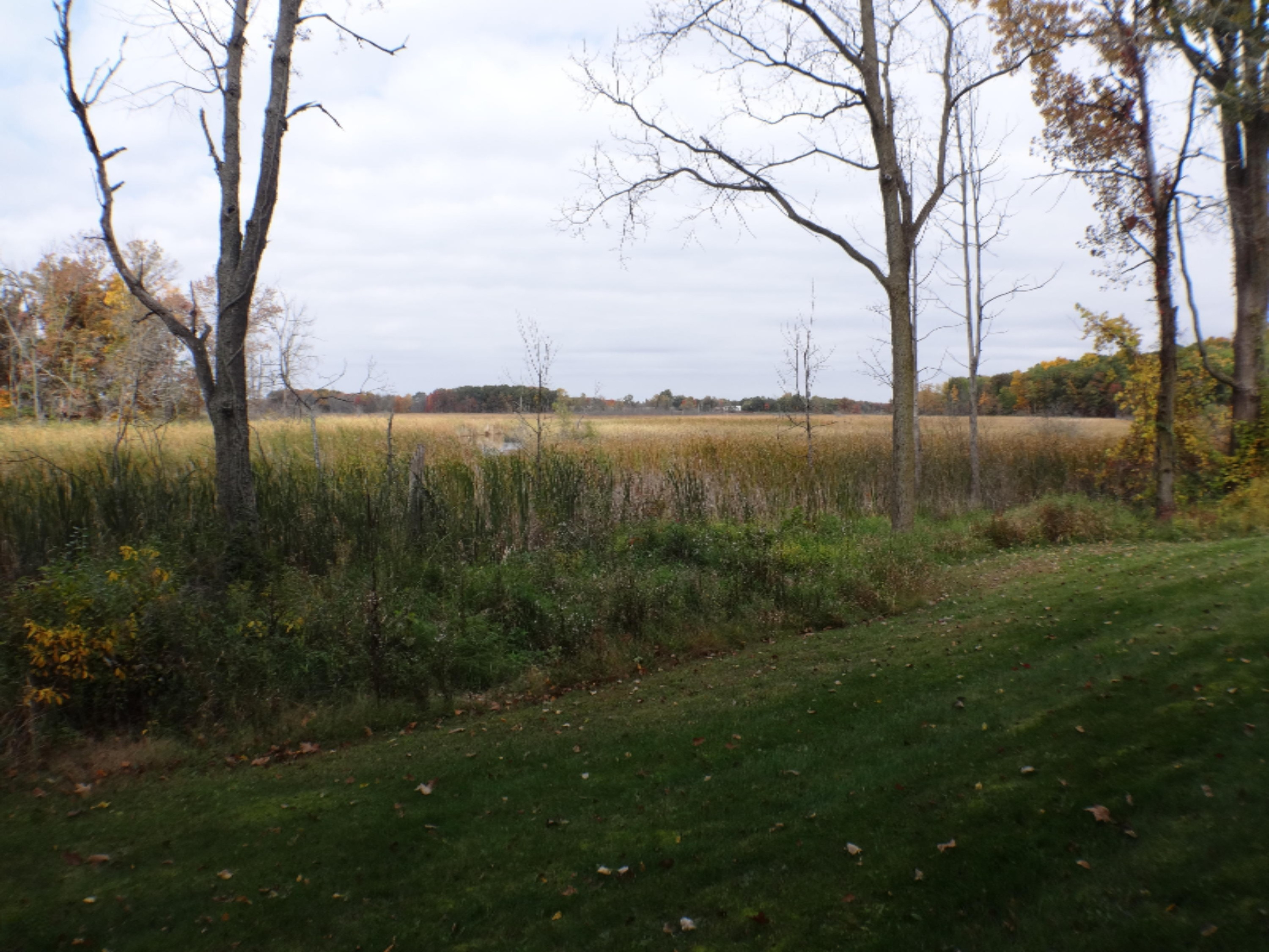 5780 Osborne Road Delton, MI 49046 - Photo 3 of 59 DSC01830