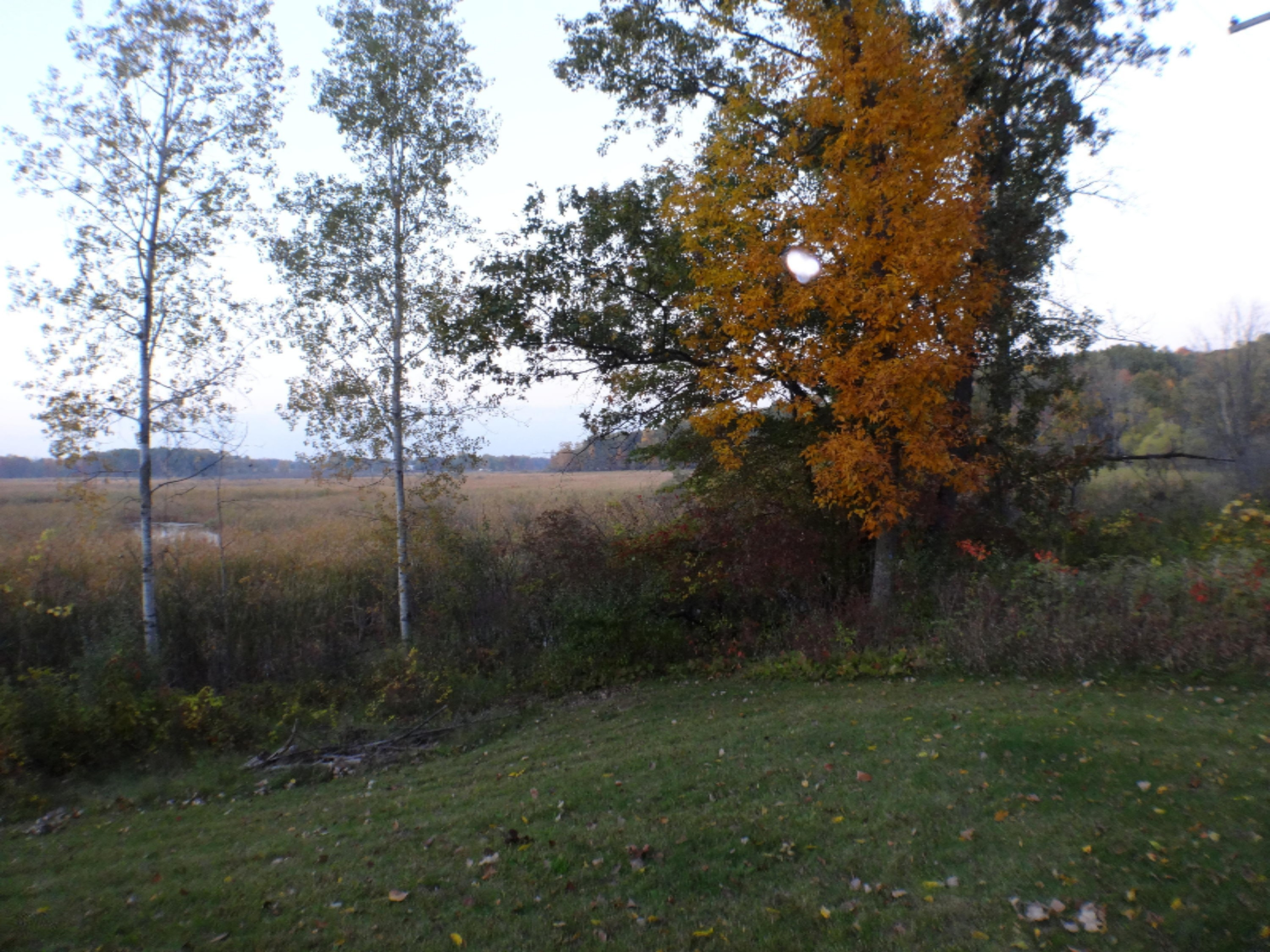 5780 Osborne Road Delton, MI 49046 - Photo 40 of 59 DSC01779