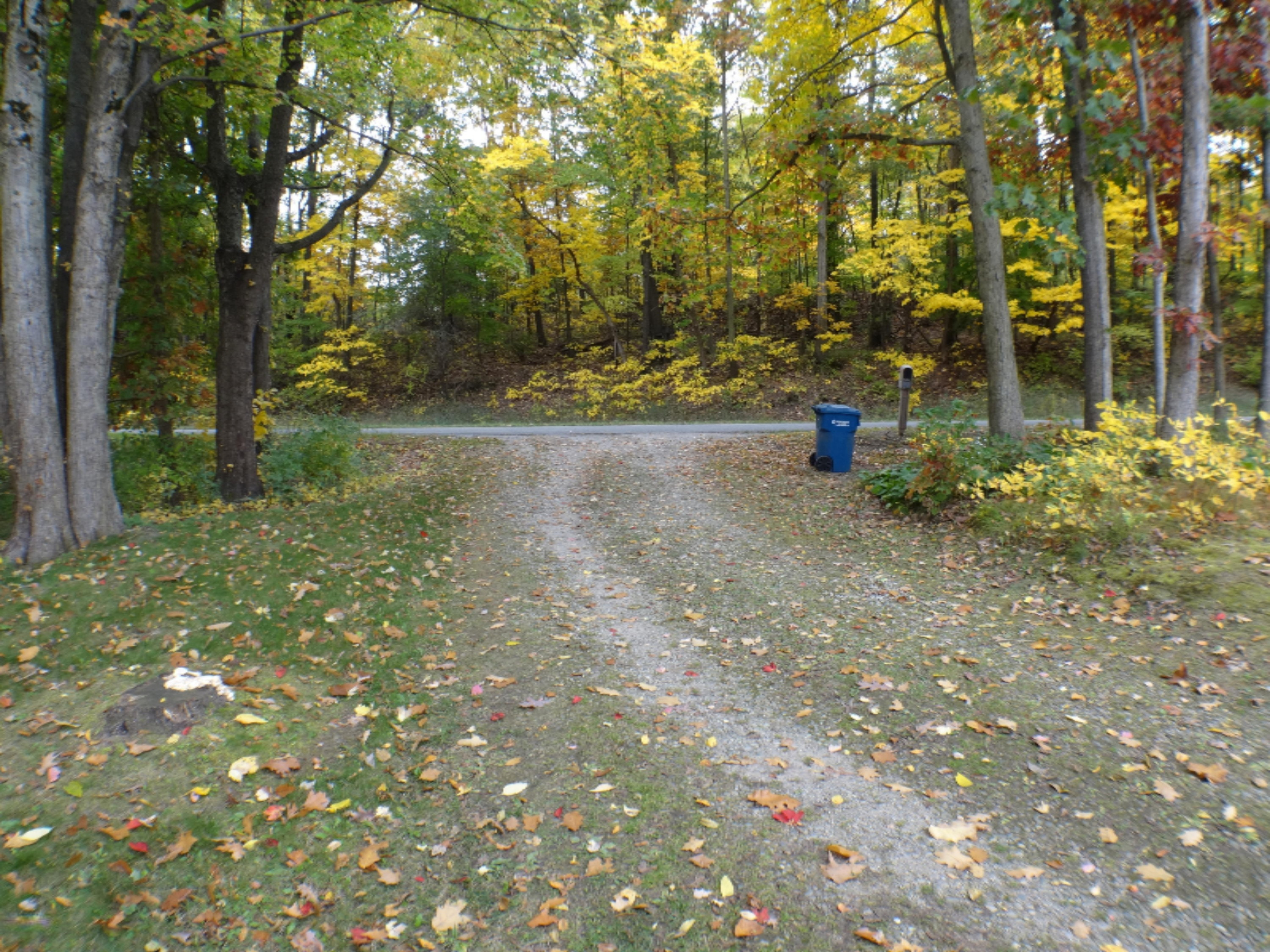 5780 Osborne Road Delton, MI 49046 - Photo 41 of 59 DSC01821