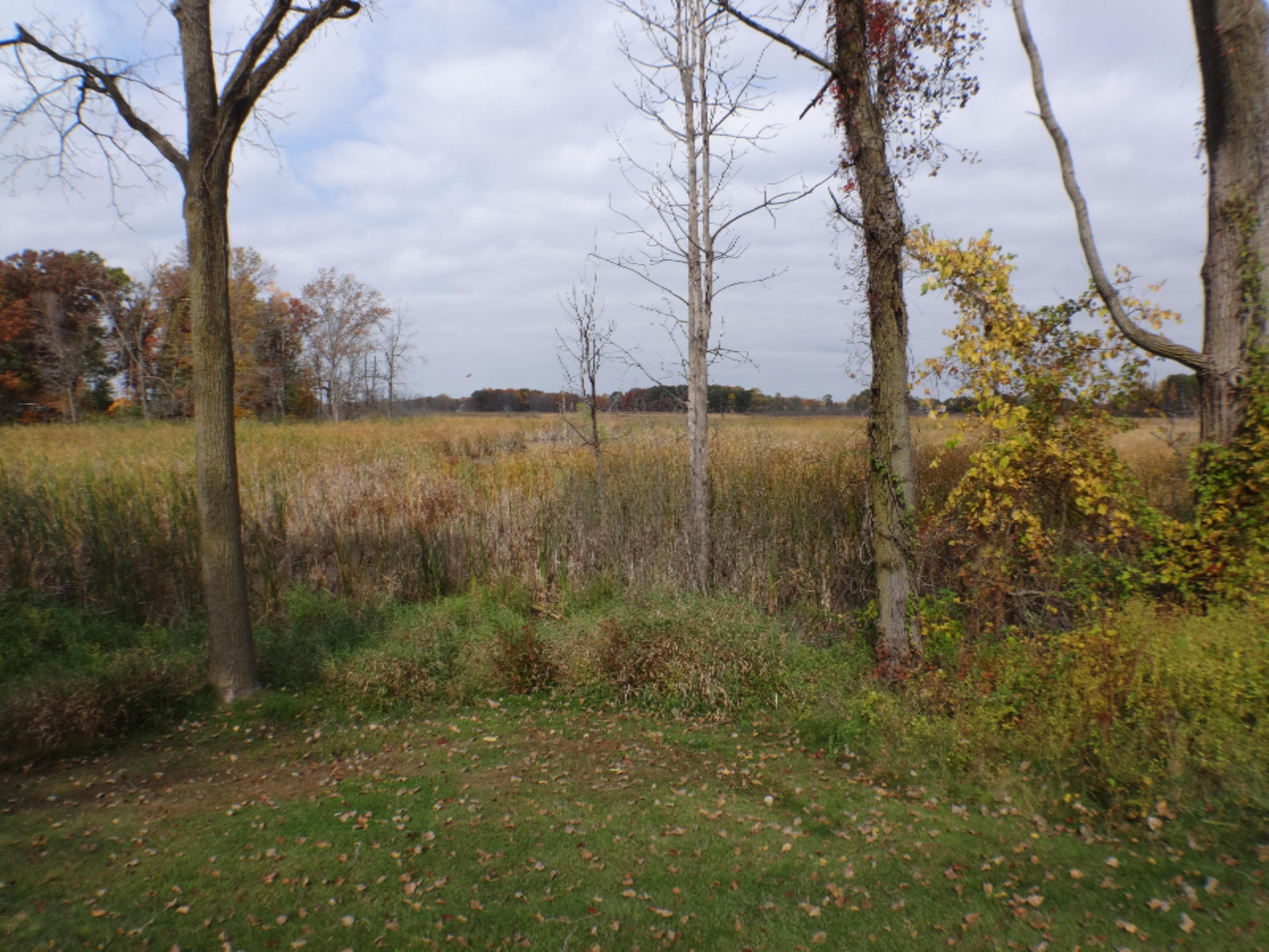 5780 Osborne Road Delton, MI 49046 - Photo 48 of 59 DSC01834