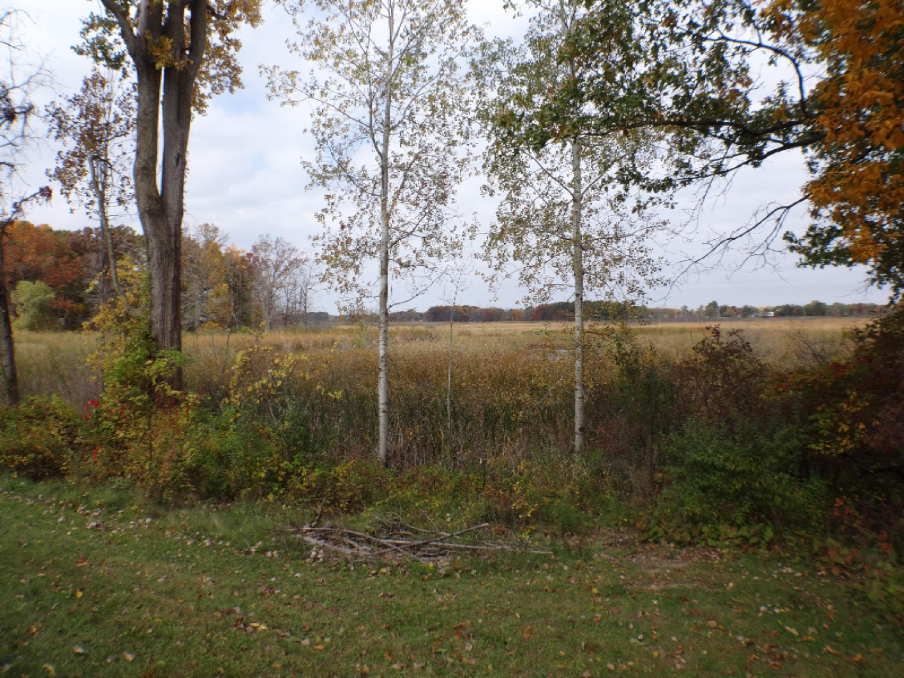 5780 Osborne Road Delton, MI 49046 - Photo 51 of 59 DSC01836