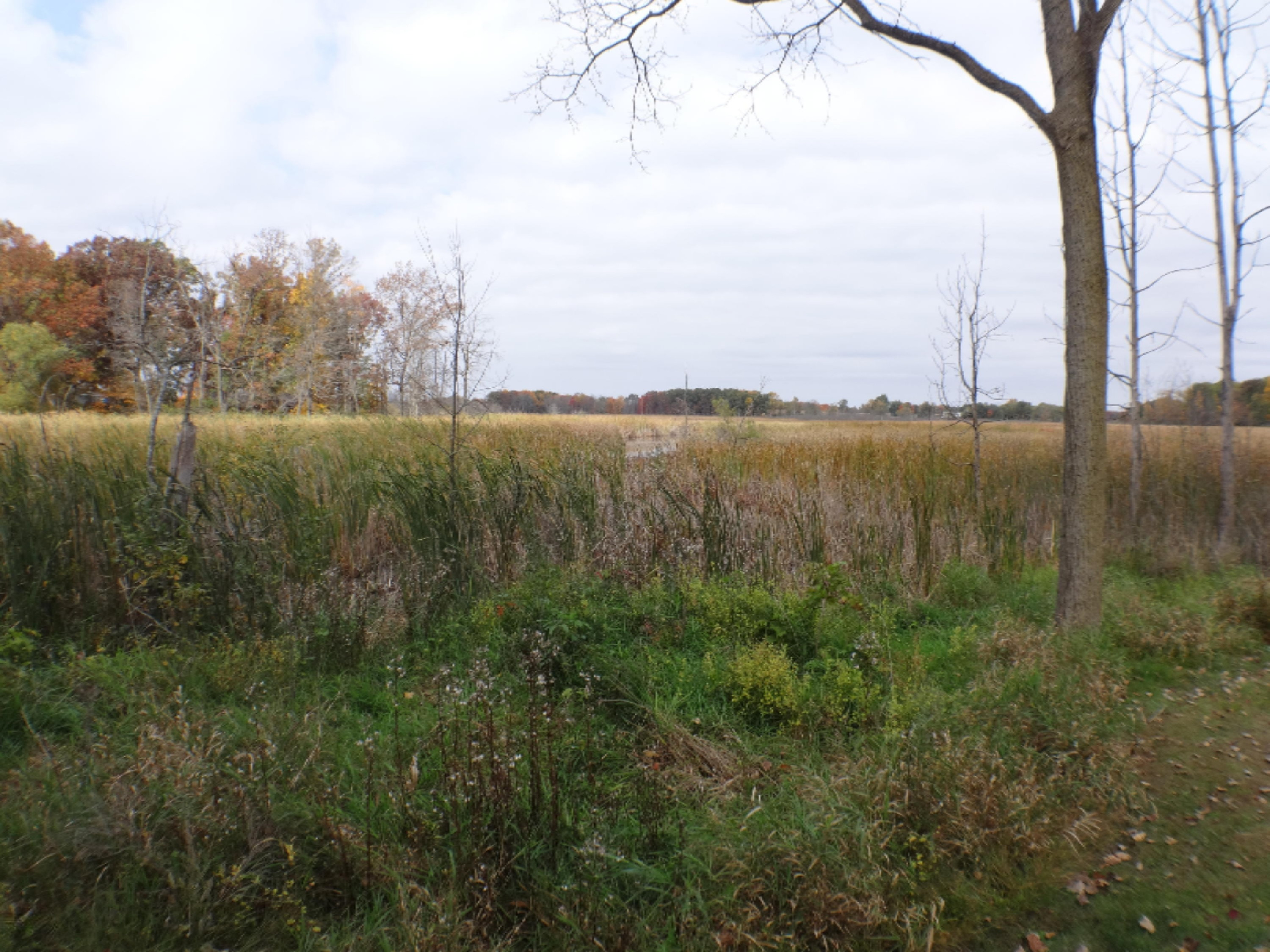 5780 Osborne Road Delton, MI 49046 - Photo 10 of 59 DSC01831