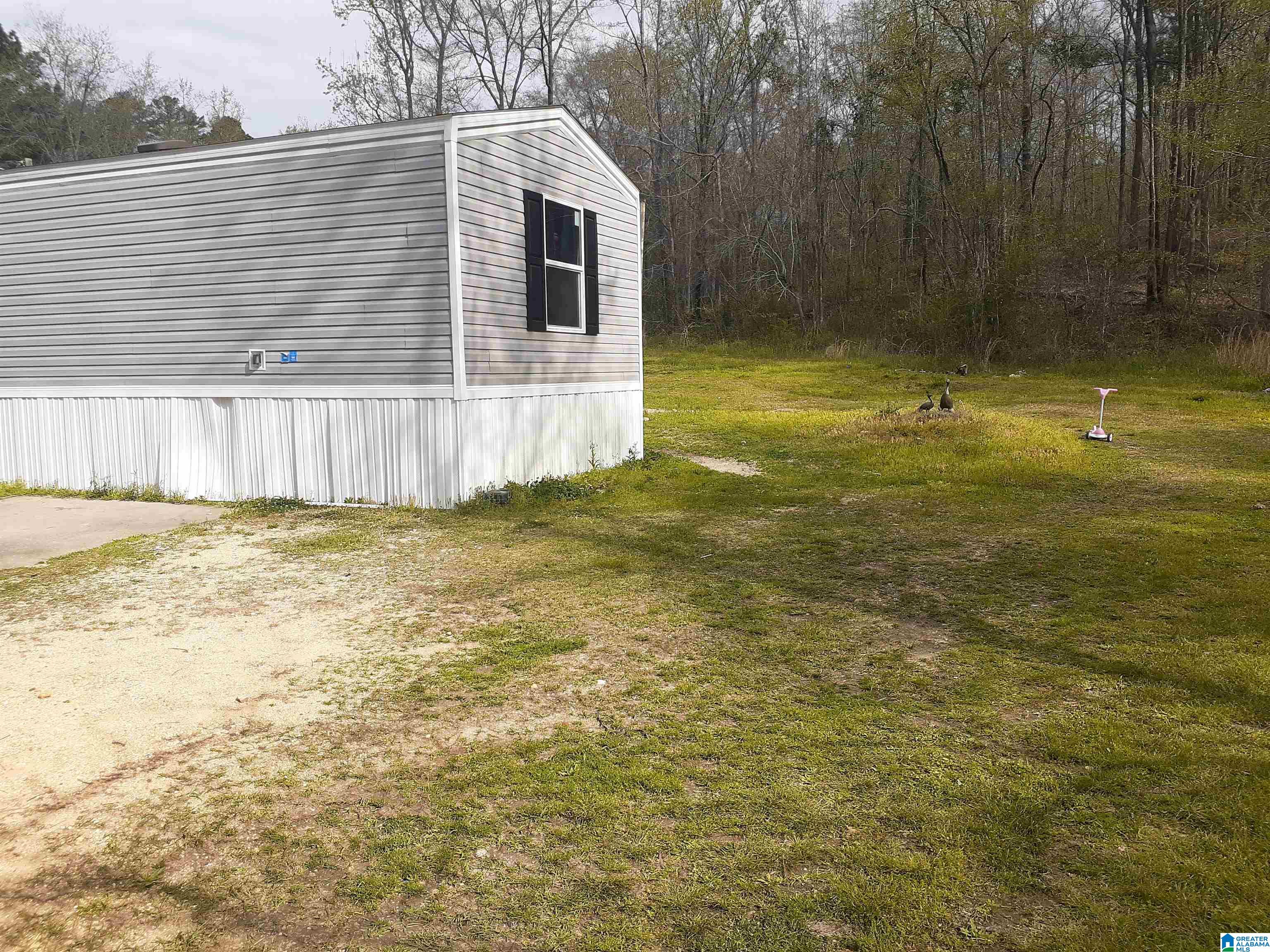8975 Greensport Road Ashville, AL 35953 - Photo 5 of 9