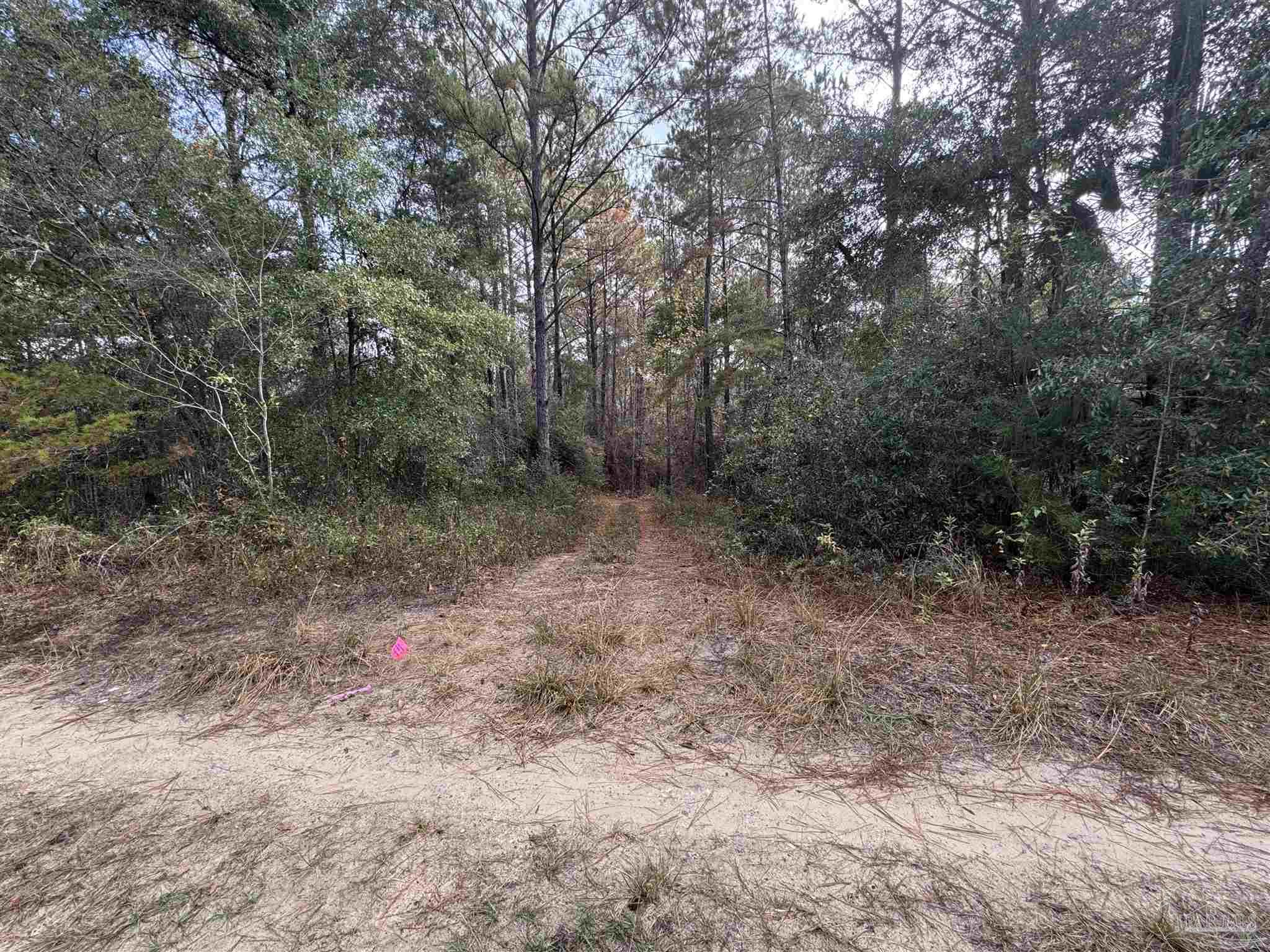 -blk Ryan Road Crestview, FL 32539 - Photo 5 of 7