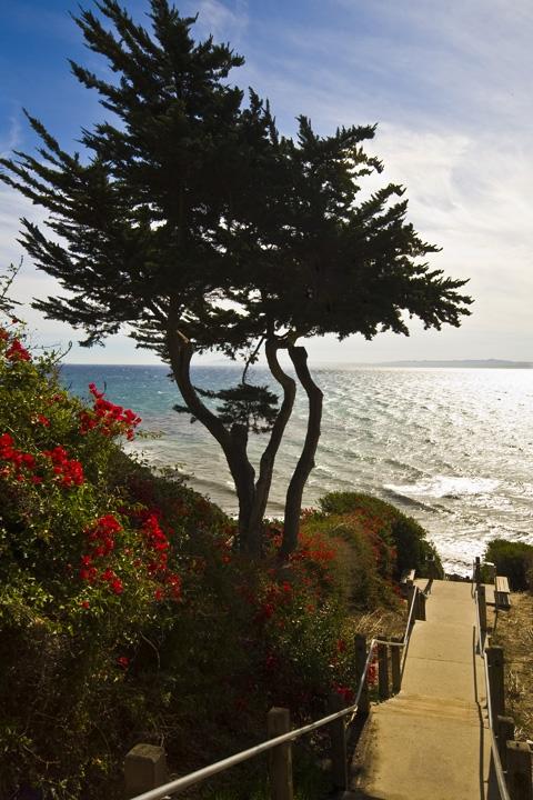 2409 Medcliff Road Santa Barbara, CA 93109 - Photo 9 of 9 Nearby Steps at Mesa Ln