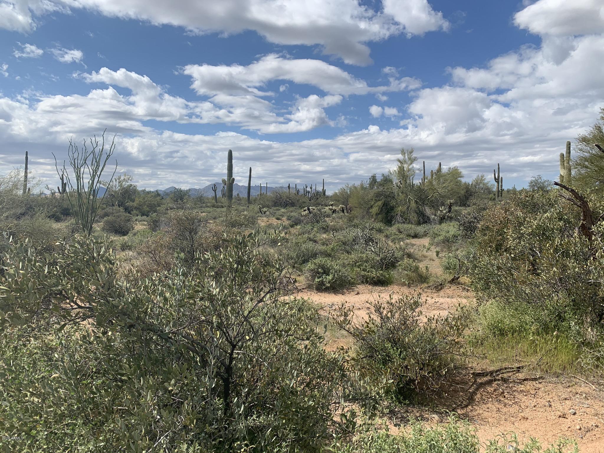 31200 North 174th Street Rio Verde, AZ 85263 - Photo 1 of 20 Beautiful Lush Vegetation