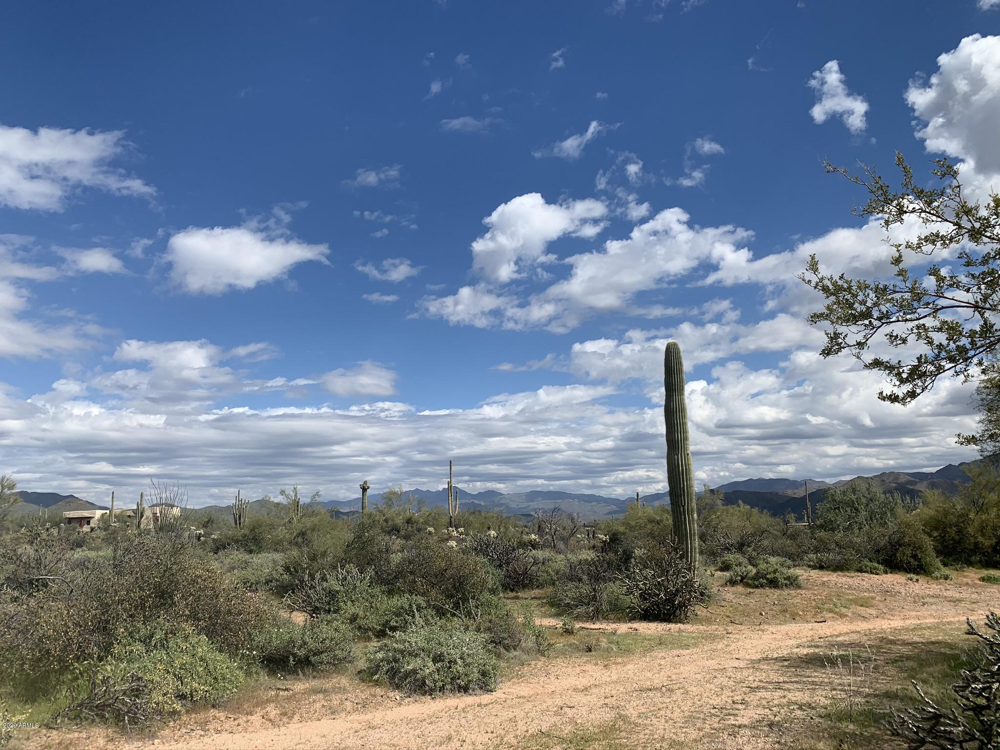31200 North 174th Street Rio Verde, AZ 85263 - Photo 4 of 20 Desert Lifestyle