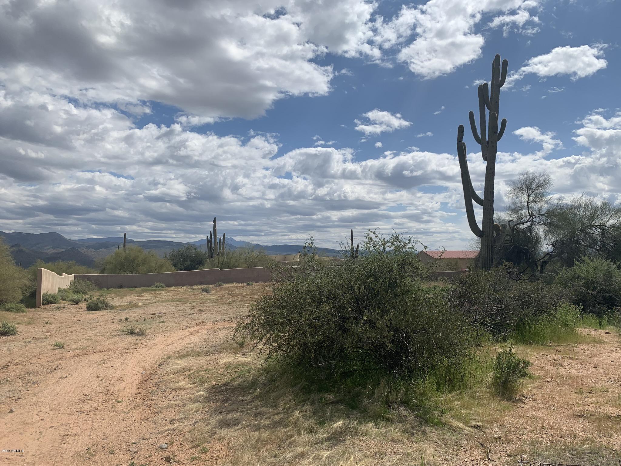 31200 North 174th Street Rio Verde, AZ 85263 - Photo 5 of 20 Mature Saguaros